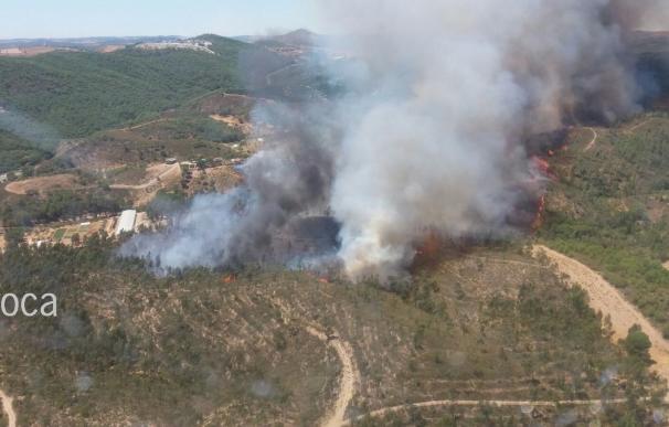 Un nuevo incendio en Nerva moviliza a 90 bomberos forestales y once medios aéreos