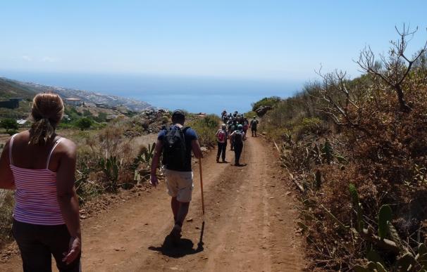 Más de 800 personas velarán por la seguridad de los peregrinos a Candelaria (Tenerife)