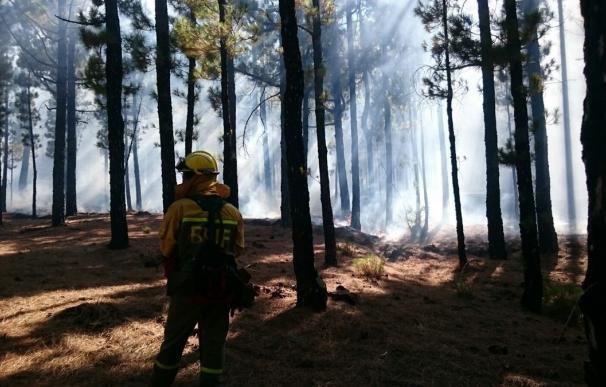 El incendio de La Palma ya está estabilizado y los vecinos desalojados pueden volver a sus casas