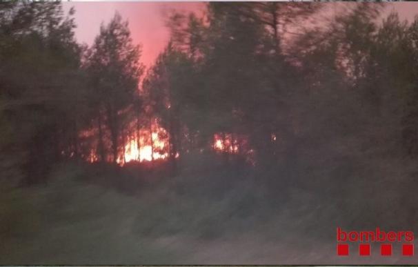 Estabilizado el incendio de la La Pobla de Montornès, que ha quemado 465 hectáreas