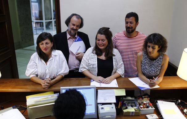 El Congreso confirma su rechazo a dar grupo a En Marea y A la Valenciana, que deberán decidir si van al TC