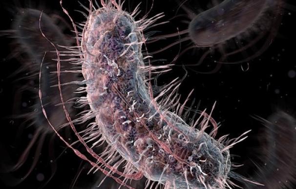 Científicos de la Universidad de Harvard modifican el código genético de una bacteria reduciendo su genoma