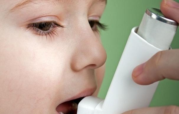 Investigadores muestran que los niños con asma persistente leve toleran bien el paracetamol