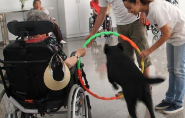 El IASS desarrolla un proyecto de terapia asistida con perros para personas mayores