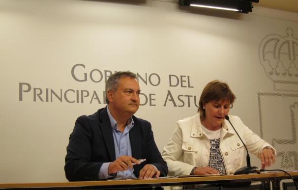 Vipasa adjudicó 490 viviendas públicas en 2015 en Asturias y concedió 4.865 ayudas al alquiler
