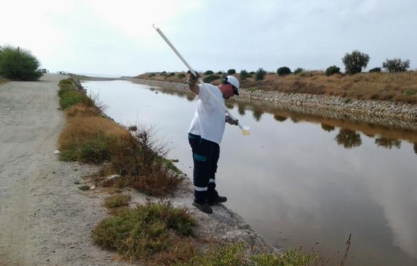 Técnicos no detectan larvas de mosquitos en el paraje natural de la desembocadura del Guadalhorce