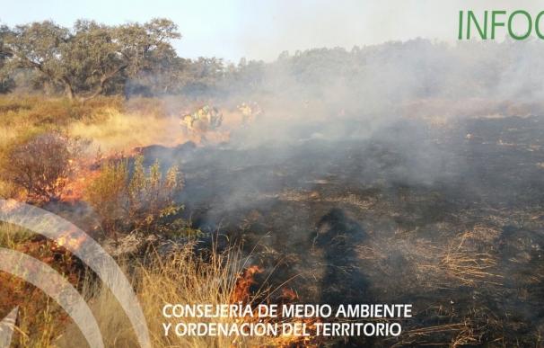 Controlado el incendio en El Castillo, donde continúan trabajando 16 bomberos forestales