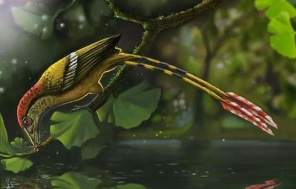 Restos fósiles de una pequeña ave con dientes de hace 115 millones de años.
