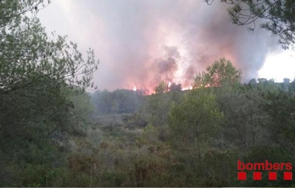 Extinguido el incendio de La Pobla de Montornès (Tarragona)