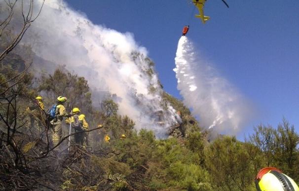 El fuego de La Palma podría quedar estabilizado esta noche, según el Gobierno canario