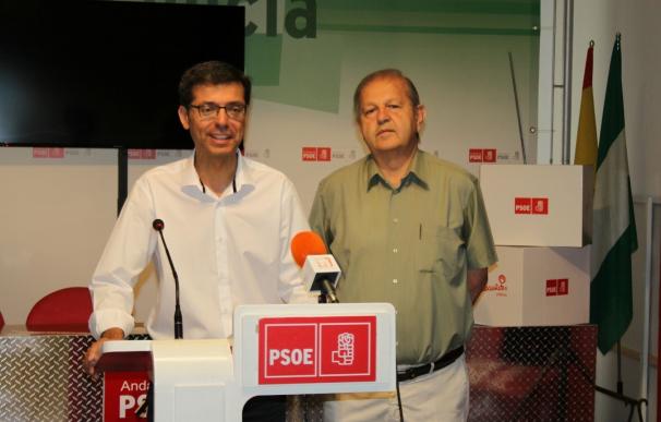 PSOE pide a la Diputación que ponga en marcha el plan para asistir a Alhaurín el Grande, Cártama, Coín y Nerja