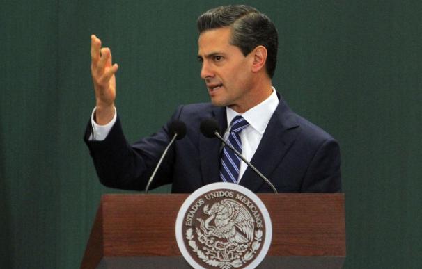 Peña Nieto afirma que la estrategia de seguridad del Gobierno "está dando resultados"