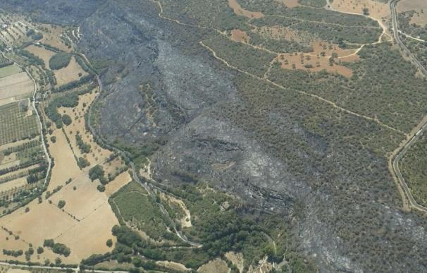 Este fin de semana se han quemado más de 50 hectáreas en Baleares