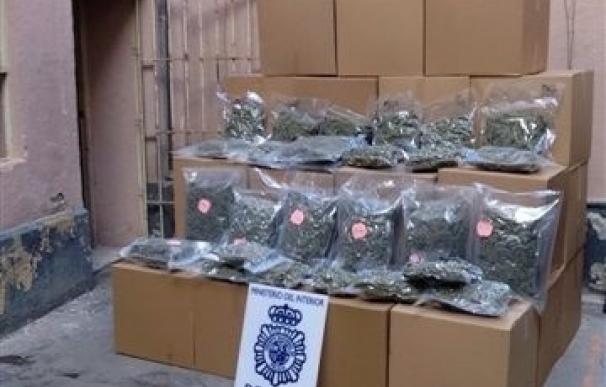 Desarticulan un grupo que transportaba marihuana escondida en camiones de hortalizas desde La Nucia