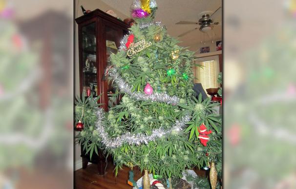 Un árbol de Navidad hecho de marihuana como el incautado en Chile