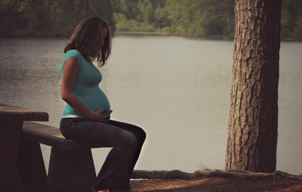 La exposición al bisfenol A durante el embarazo aumenta el riesgo de ansiedad y depresión en los niños