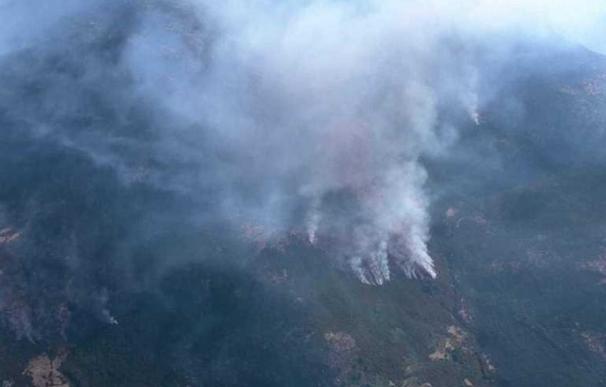 Agricultura envía medios para luchar contra el incendio en Jerte (Cáceres) y los de otras tres provincias