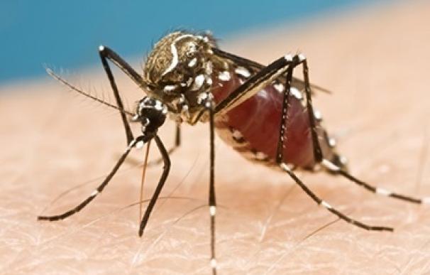 Asciende a cinco el número de casos de zika registrados en Miami Beach