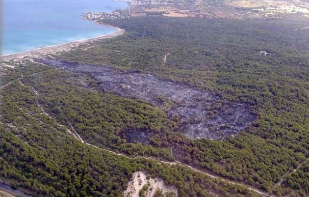 Medios del Ibanat continúan trabajando en el incendio de sa Canova (Artà)para lograr la extinción total del incendio
