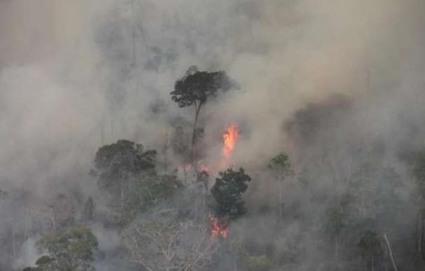 Survival International advierte del riesgo que corre la tribu brasileña awá por los incendios forestales del Amazonas