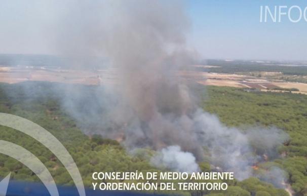 Controlado el incendio de Almonte en el que permanecen 20 bomberos forestales