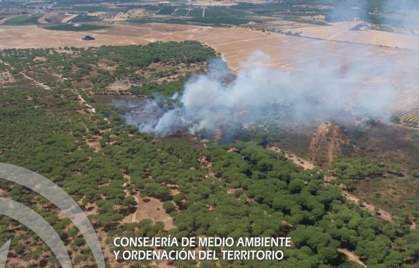 Andalucía registra 500 fuegos en terrenos forestales, con 1.527 hectáreas calcinadas