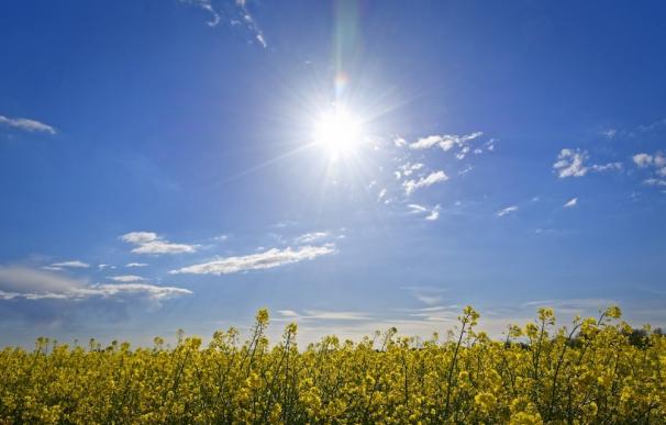 Varios puntos de Extremadura permanecerán este martes en alerta amarilla por altas temperaturas