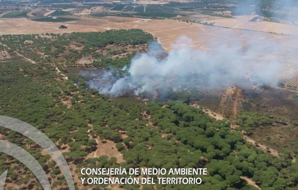 El incendio de Cartaya calcina 4,5 hectáreas de matorral