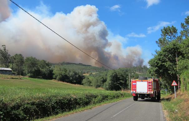 El fuego arrasa 15.000 hectáreas en una semana y arruina el 'titulo' de 2016 como el mejor de la década