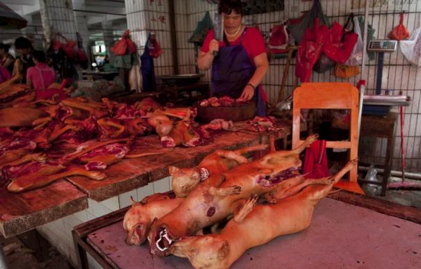 Festival de carne de perro de Yulin, China