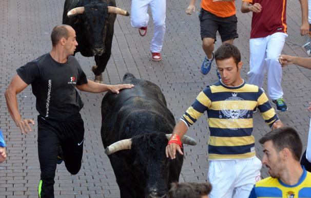 Un herido por asta de toro en el tercer encierro de San Sebastián de los Reyes con récord de participantes