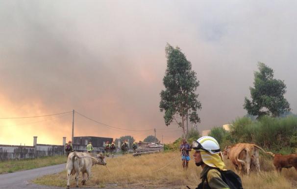 Seis incendios forestales queman más de 1.100 hectáreas en Galicia, cinco de ellos en la provincia de Pontevedra