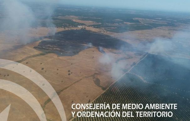 Controlado el incendio de Villablanca, que arrasa 12 hectáreas de pasto y ocho de matorral