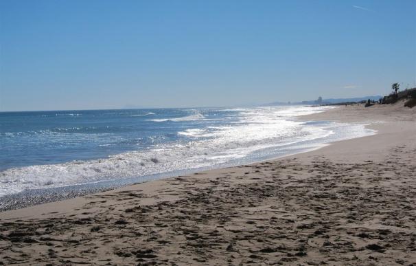 Ribó pide a Costas una solución para la falta de arena de la playa de la Garrofera