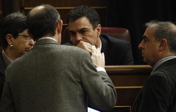Pedro Sánchez, en una sesión en el Congreso de los Diputados.