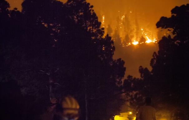 La isla de La Palma pierde el 7% de su superficie en el incendio