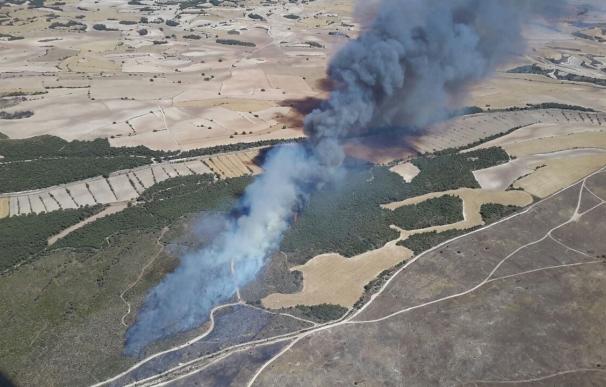 El fuego declarado en San Gregorio (Zaragoza) afecta a 126 hectáreas, 70 de ellas forestales