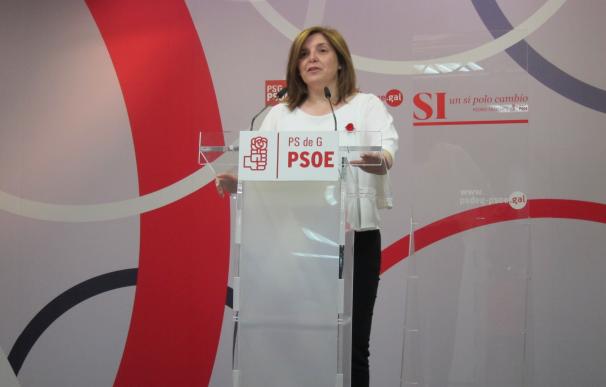 Cancela justifica el pacto de PSOE y PP para aprobar los presupuestos de la Diputación de Lugo y respalda a Darío Campos