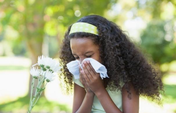 Un 20% de los niños españoles presenta síntomas potencialmente relacionados con problemas alérgicos