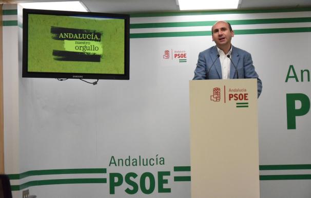 PSOE-A asegura que la moción de censura de Podemos "es sólo teatro para interferir en las primarias" socialistas