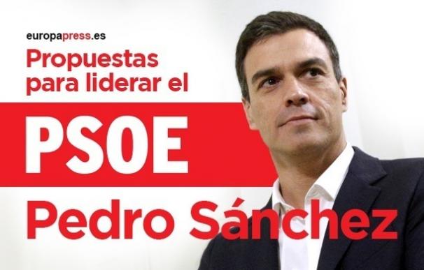 Consulta aquí el programa de Pedro Sánchez a las primarias del PSOE 2017