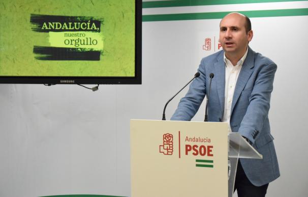 PSOE-A llama a la militancia a participar en las primarias para "definir un nuevo proyecto y un nuevo liderazgo"