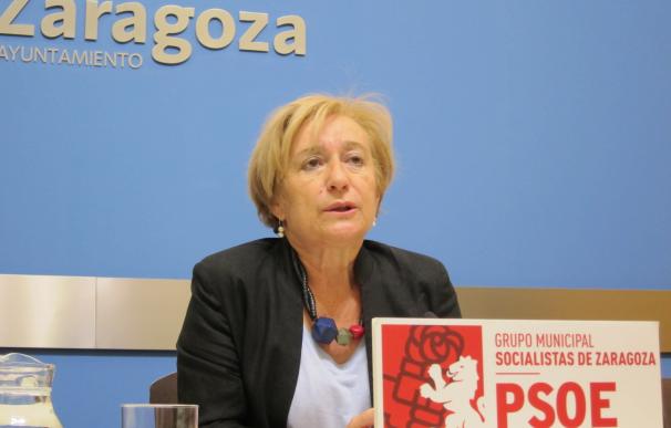 Campos (PSOE) alerta del "roto" que hace ZEC en dinamización de la ciudad