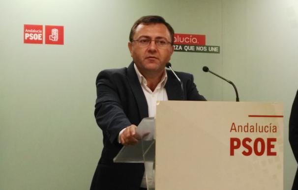 Heredia felicita a Sánchez y dice que "nos ponemos a su disposición" para "trabajar y hacer más fuerte al PSOE"