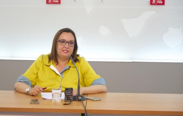 Gestora del PSOE canario destaca la "lección de democracia" en las primarias y pide a Sánchez "recolocar" al partido