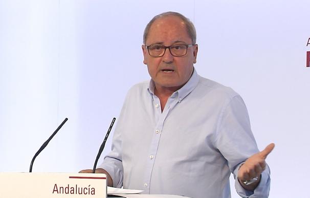 PSOE-A critica "injerencias" en el proceso interno del PSOE de Podemos y Moreno, al que aconseja que "apague sus fuegos"