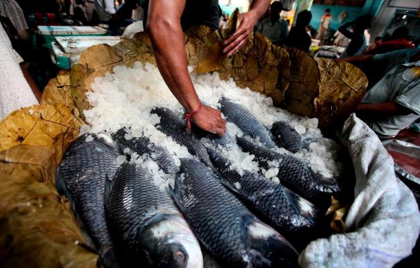La UE abre su mercado a los productos agrícolas y pesqueros palestinos