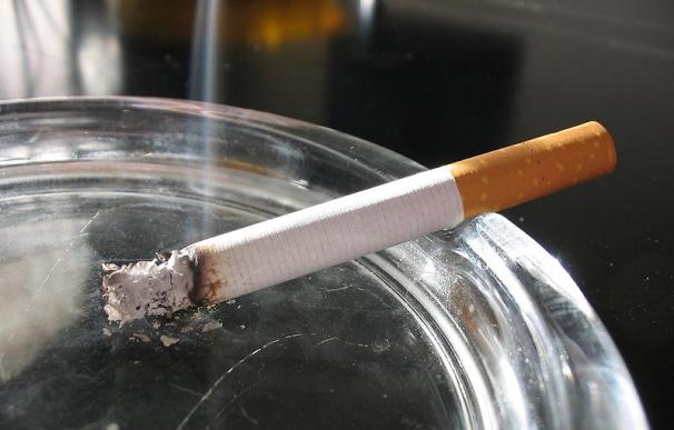 Una iniciativa ciudadana pide al Gobierno que se prohíba en fumar playas, coches y estadios deportivos