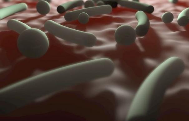 Un estudio revela el impacto de los antibióticos y otros factores en el microbioma intestinal infantil