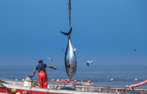 El Patronato de Turismo da a conocer el atún a varios medios de comunicación internacionales